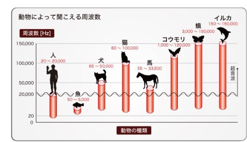 動物によって聞こえる周波数